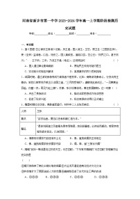 河南省新乡市第一中学2023-2024学年高一上学期阶段检测历史试题