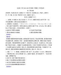 2024-2025学年度吉林省延吉市延边第二中学高一上学期12月月考历史试题(解析版)