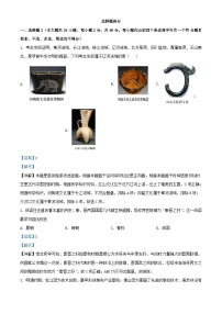 浙江省宁波市五校联盟2023_2024学年高一历史上学期期中联考试题含解析