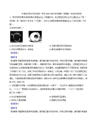 天津经济技术开发区第一中学2024-2025学年高一上学期期中考试历史试题(解析版)