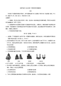 四川省绵阳市2024-2025学年高一上学期期末教学质量测试历史试卷