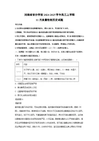 2024~2025学年河南省部分学校高三上学期11月质量检测 历史试卷（解析版）