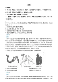 2025年1月内蒙古自治区普通高等学校招生考试适应性测试(八省联考)历史试题(Word版附解析)