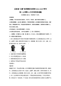 2024~2025学年江西省“三新”协同教研共同体高一上12月月考历史试卷（解析版）