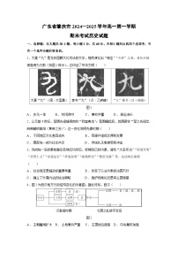 广东省肇庆市2024—2025学年高一第一学期期末考试历史试卷
