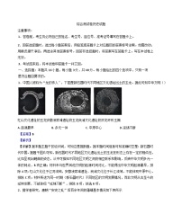 黑龙江省龙东地区2024-2025学年高一上学期期末考试历史试题(解析版)