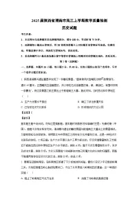 2025届陕西省渭南市高三上学期教学质量检测历史试卷(解析版)