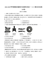 2024-2025学年湖南省炎德英才名校联合体高一(上)期末历史试卷(B卷)