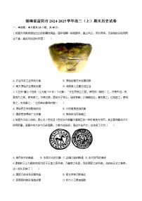 湖南省益阳市2024-2025学年高二（上）期末历史试卷