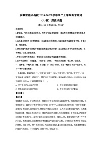 安徽省鼎尖名校2024-2025学年高二(上)期末联考（A卷）历史试卷（解析版）