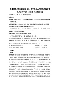 新疆维吾尔自治区2024-2025学年高三上高考适应性检测分学科第一次模拟考试历史试卷(解析版)