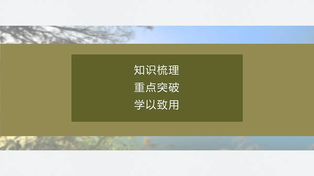 第五单元 第17课 挽救民族危亡的斗争第5页