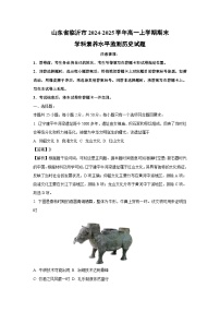 2024~2025学年山东省临沂市高一上学期期末学科素养水平监测历史试卷(解析版)