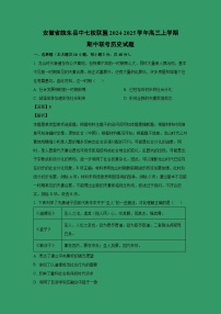2024~2025学年安徽省皖东县中七校联盟高三上学期期中联考历史试卷（解析版）