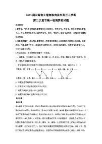 2025届云南省大理白族自治州高三上学期第二次复习统一检测历史试卷(解析版)
