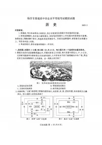 历史丨山东省临沂市2025届高三下学期3月第一次模拟考试历史试卷及答案
