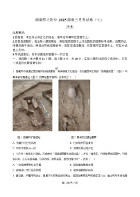 湖南省长沙市湖南师范大学附属中学2025届高三下学期3月月考（七）历史试卷（Word版附解析）
