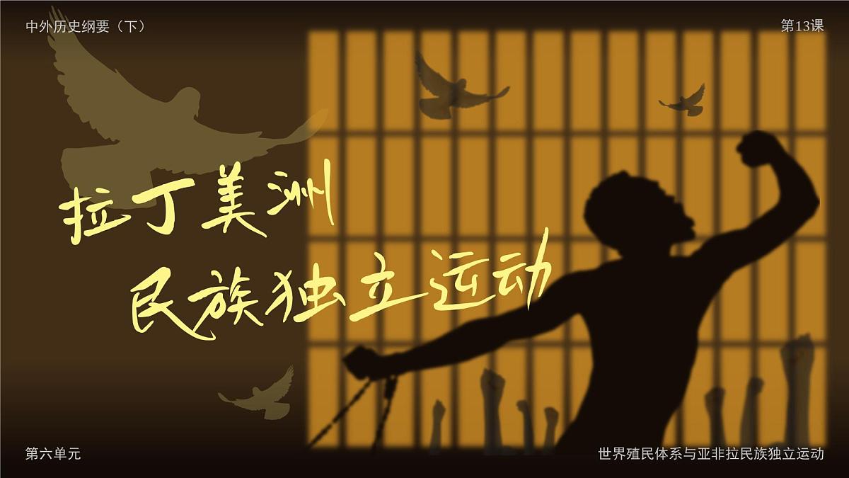 部编版2025高中历史必修中外历史纲要下第13课 亚非拉民族独立运动 课件第7页
