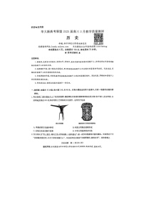 华大新高考联盟2025届高三3月教学质量测评历史试卷（无答案）