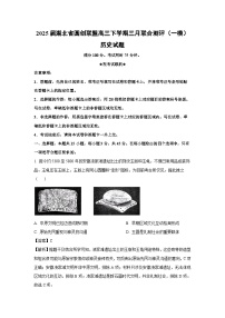 2025届湖北省圆创联盟高三下学期三月联合测评（一模）历史试卷（解析版）