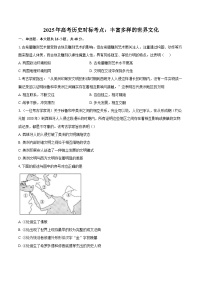2025年高考歷史對標考點：豐富多樣的世界文化-專項訓練【含答案】