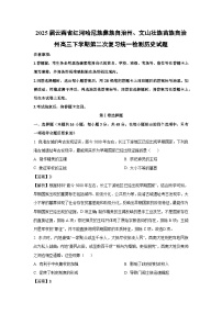 2025届云南省红河哈尼族彝族自治州、文山壮族苗族自治州高三下学期第二次复习统一检测历史试卷（解析版）