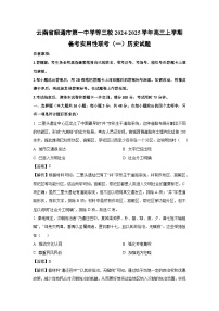 云南省昭通市第一中学等三校2024-2025学年高三上学期备考实用性联考（一）历史试卷（解析版）