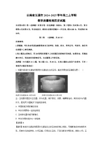 云南省玉溪市2024~2025学年高二上学期教学质量检测历史试卷（解析版）