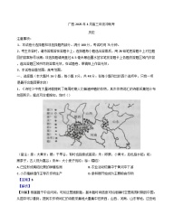 广西壮族自治区柳州市2024-2025学年高三下学期4月月考历史试题（解析版）