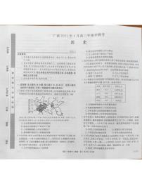 广西壮族自治区柳州市2025届高三下学期4月月考试题 历史 PDF版含解析