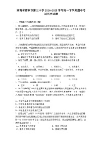 湖南省邵东市第三中学2024-2025学年高一下学期期中考试历史试题（解析版）