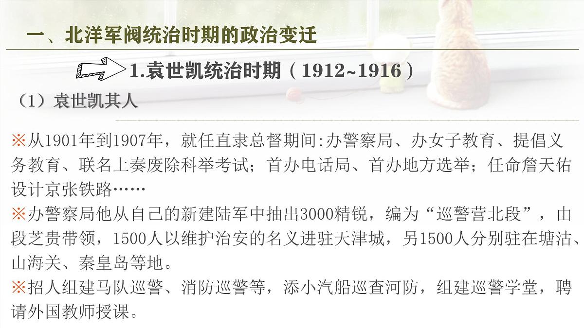 人教统编版高中历史必修上 6-19《北洋军阀统治时期的政治、经济与文化》课件第4页