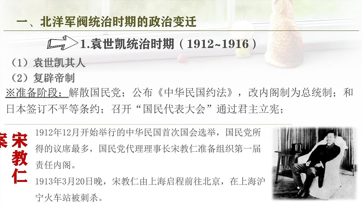 人教统编版高中历史必修上 6-19《北洋军阀统治时期的政治、经济与文化》课件第6页