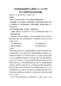 广西壮族自治区柳州市上进联考2024-2025学年高三下学期开学考考试历史试卷(解析版)