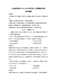 山东省滨州市2024-2025学年高二上学期期末考试历史试卷（解析版）