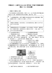 河南省天一大联考2024-2025学年高三年级下学期阶段性测试（七）历史试题（解析版）
