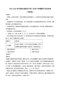 2024-2025学年湖北省武汉市高二历史下学期期末考试试卷（附答案）