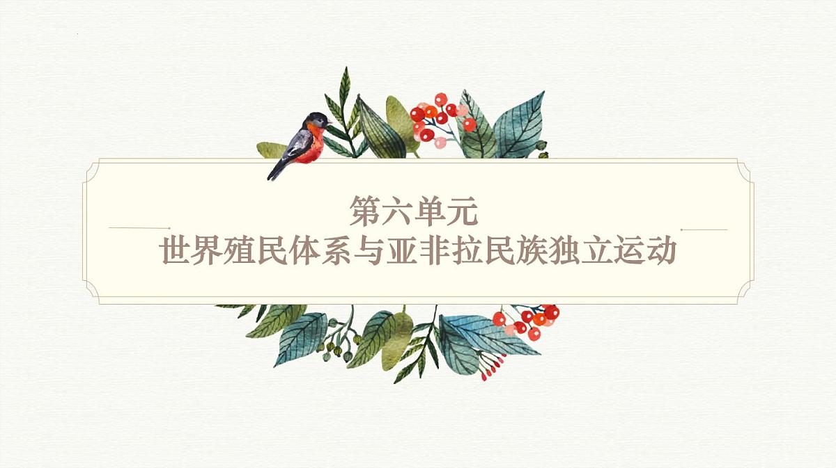 人教统编版高中历史必修下 第六单元世界殖民体系与亚非拉民族独立运动 知识梳理课件第1页