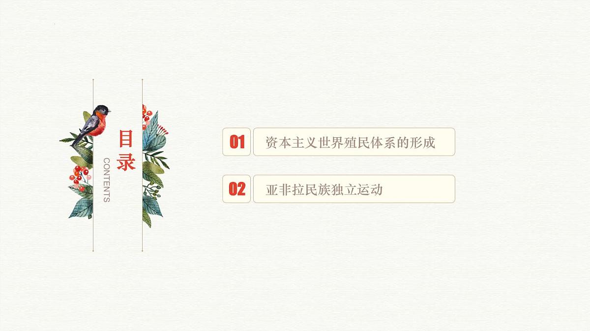 人教统编版高中历史必修下 第六单元世界殖民体系与亚非拉民族独立运动 知识梳理课件第3页