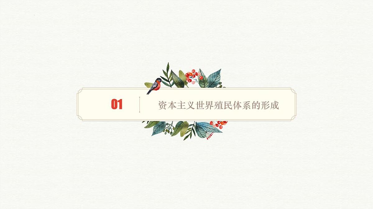 人教统编版高中历史必修下 第六单元世界殖民体系与亚非拉民族独立运动 知识梳理课件第5页