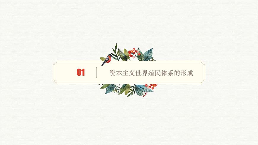 人教统编版高中历史必修下 第六单元世界殖民体系与亚非拉民族独立运动 知识梳理课件第5页