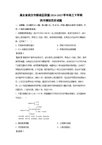 湖北省武汉市新城区联盟2024-2025学年高三下学期四月模拟历史试题（解析版）