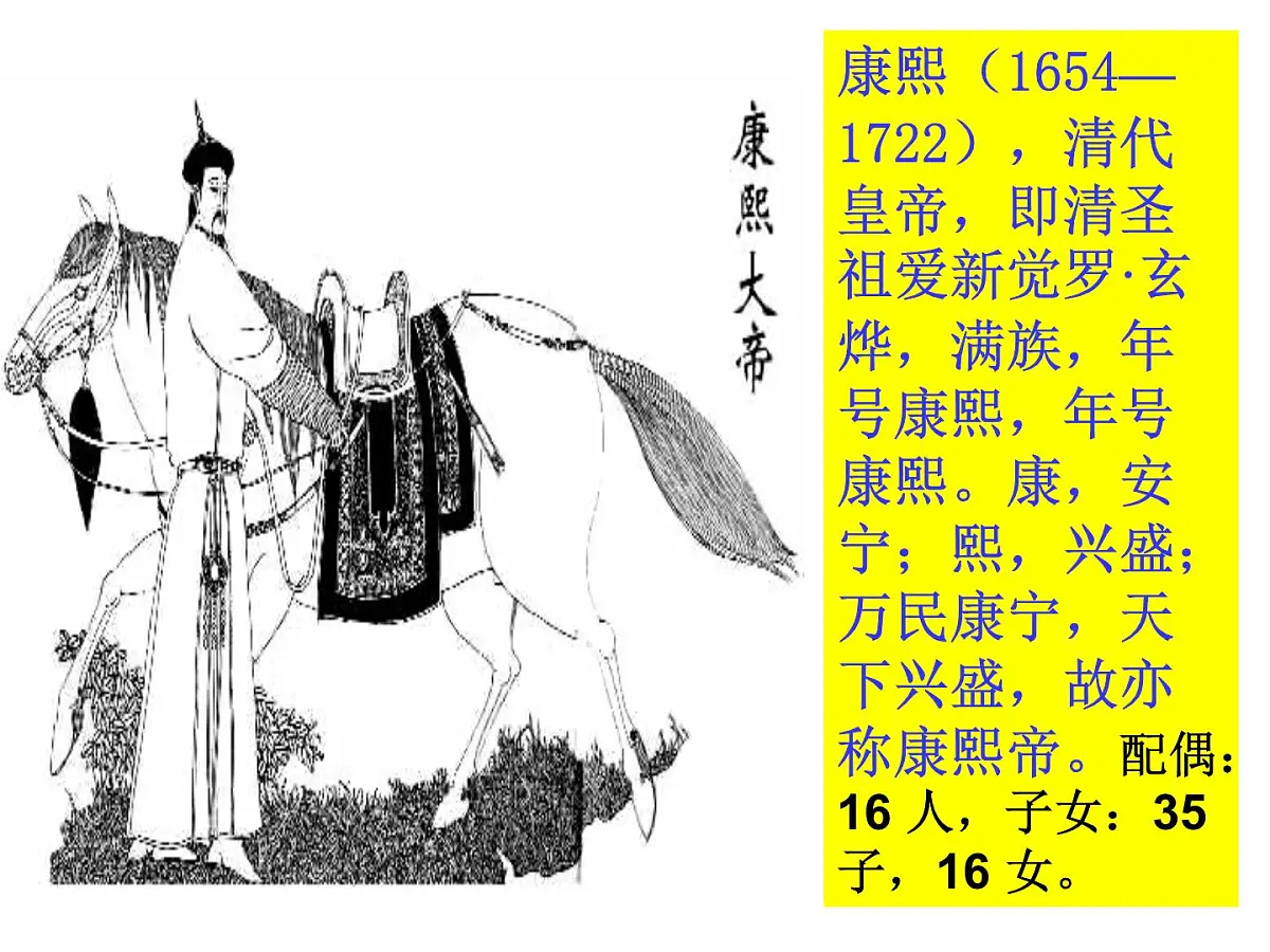 人教版 (新课标)高中历史选修4 1-3《统一多民族国家的捍卫者康熙帝》课件第5页