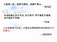 人教版 (新課標)高中歷史選修4 6-5《20世紀的科學偉人愛因斯坦》課件