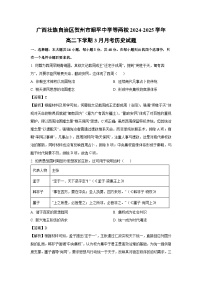 广西壮族自治区贺州市昭平中学等两校2024-2025学年高二下学期3月月考历史试题（解析版）