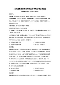 2025届青海省海东市高三下学期二模历史试题（解析版）