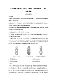2025届湖北省武汉市高三下学期二月调研考试(二模)历史试题(解析版)
