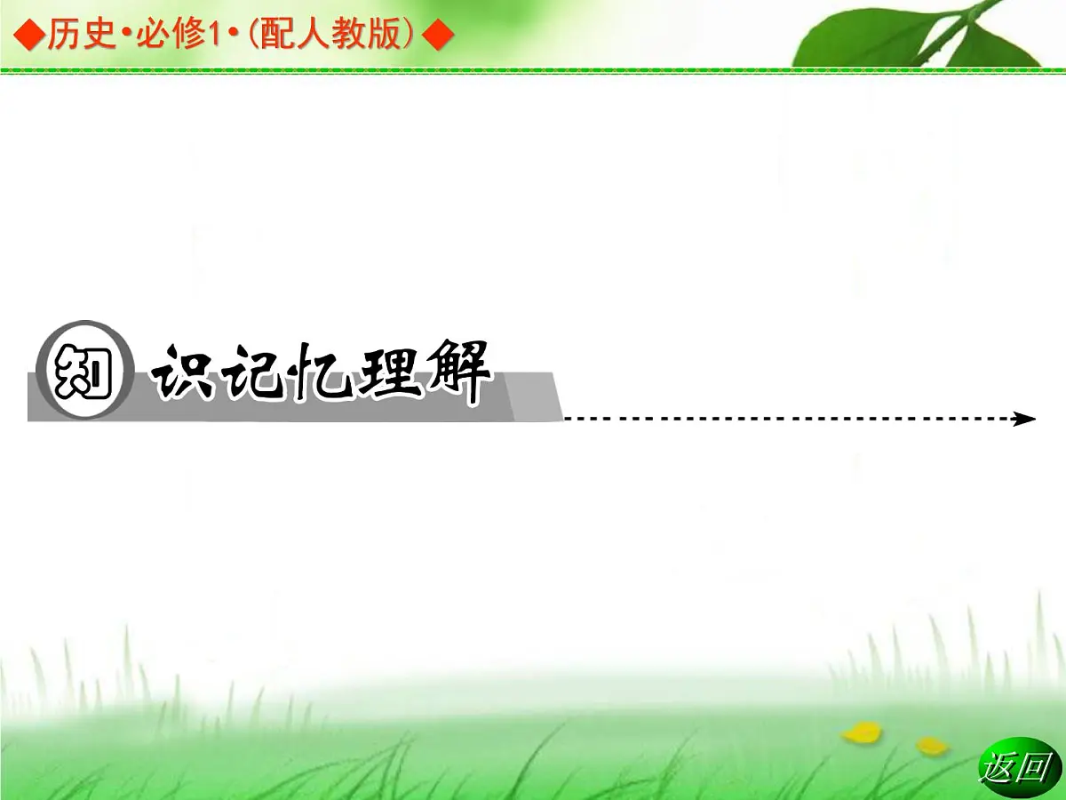 人教版 (新课标)高中历史必修1 2-5《古代希腊民主政治》导学课件第4页
