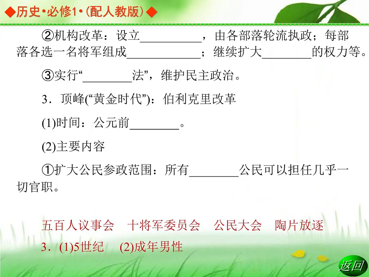 人教版 (新课标)高中历史必修1 2-5《古代希腊民主政治》导学课件第8页