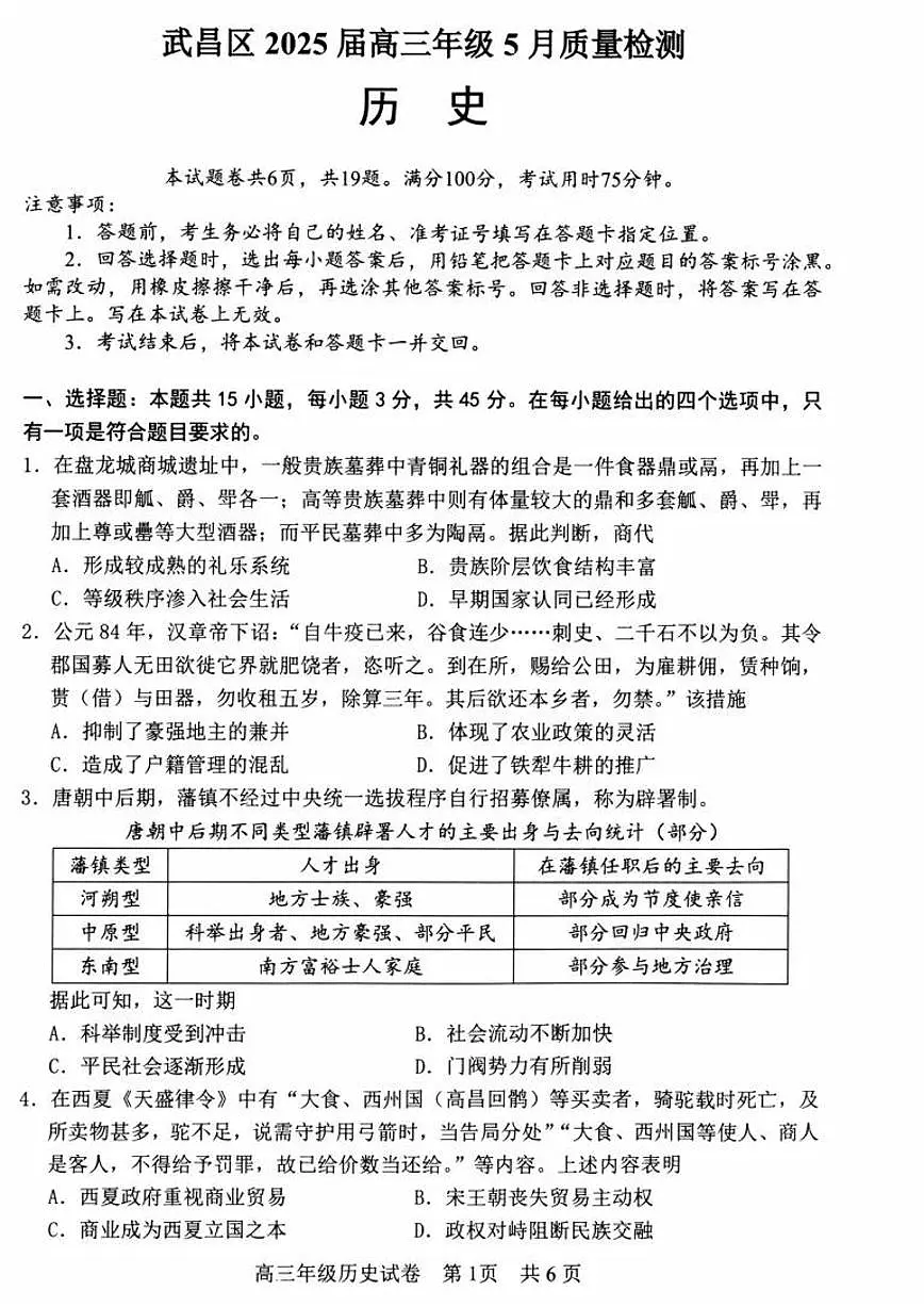 湖北省武汉市武昌区2025届高三下学期5月质量检测-历史试卷无答案第1页